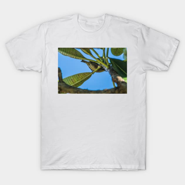 japanese white eye 22 T-Shirt by KensLensDesigns